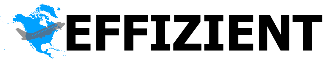 logo of Effizient company
